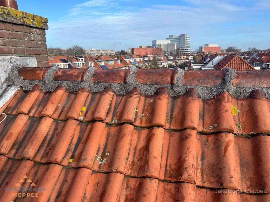 Meppel Daken Renoveren Meppel Daken Renoveren